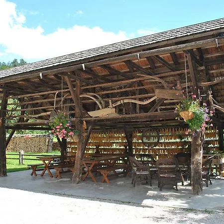 Farm stay Povsin *