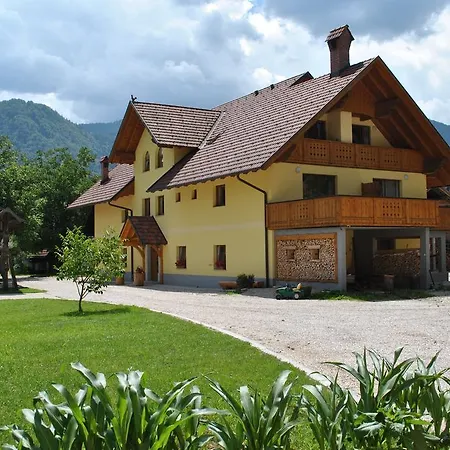 Povsin Farm stay *