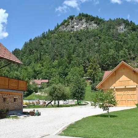 Farm stay Povsin *