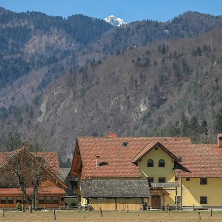 Farm stay Povsin *