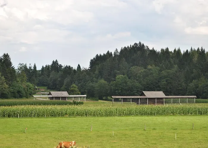 Alloggio per agriturismo Povsin *