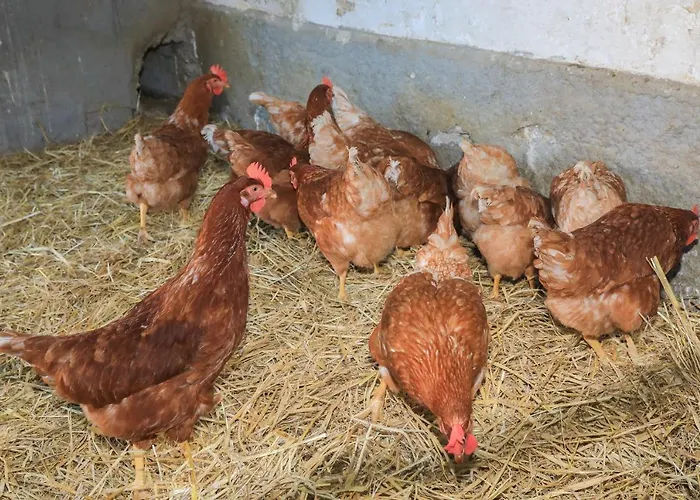 Povsin Alloggio per agriturismo *